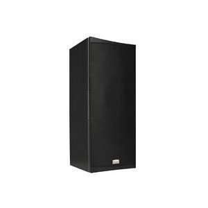   Black (Each) 2 Way Multi Purpose Speaker w/ Bass Radiator Electronics