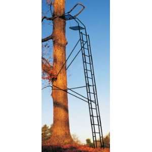  20 Standard Ladder Stand