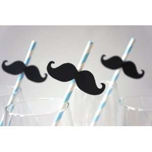 Mustache Straw Photo Props   Set of 5   Mustaches on BABY BLUE Striped 