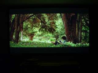 DIY Projector Screen HOW TO items in Carls Place Projector Screens 