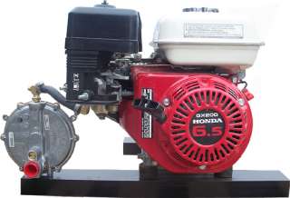 Honda Powered 4,000 Watt Propane/Natural Gas Generator  