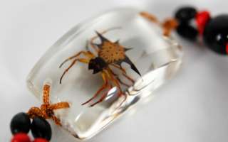 BUG BRACELET SPINY SPIDER Real Insect Nature Jewelry  