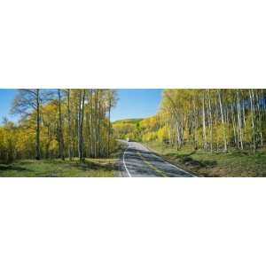  Recreational Vehicle Driving on Road Winding Through Aspen 