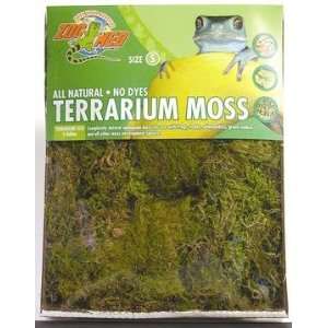    Top Quality Green Terrarium Moss   Small (5gal)