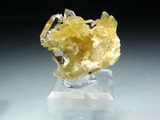 Yellow Star Muscovite Crystal Cluster with Gem Clear Quartz #17  