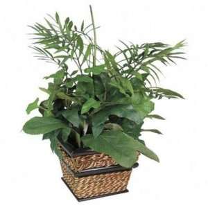   Potted Plants,w/ Container,Medium Mixed Green/Sea Grass Electronics