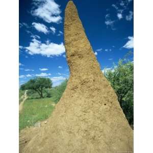  Termite Mound Near Okahandja, Namibia, Africa Photographic 