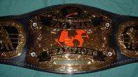 WWE Raw TAG TEAM Championship DELUXE Replica BELT  