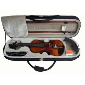 Violin Set in 4/4 Full Size  Free Brazilwood Bow, 2 Steel Core Violin 